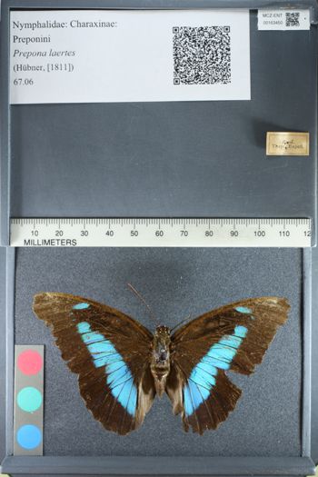 Media type: image;   Entomology 163450